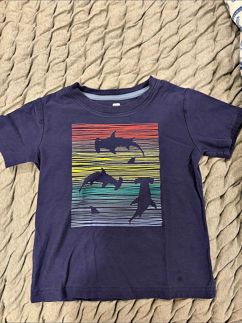 Tea boys Short Sleeve Graphic Tee Size 4 Like New